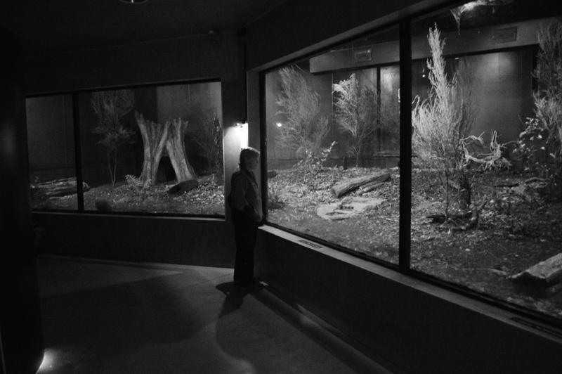 Kiwi Nocturnal enclosure - Nikon Imaging