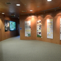 Kiwi Enclosure display -Nikon Imaging