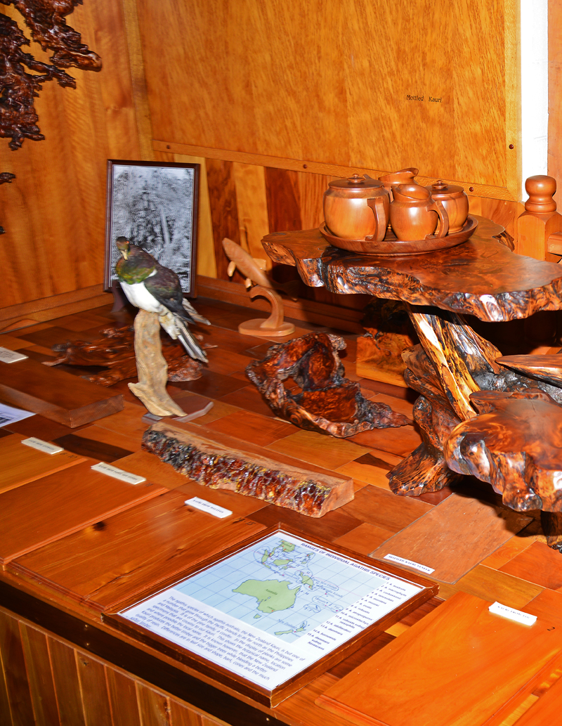 Museum exhibit of Kauri creations